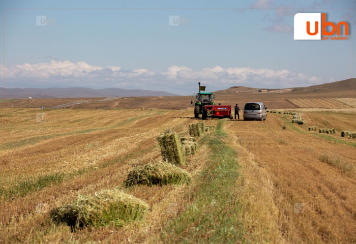 Есдүгээр сард хөрсөн дээр цочир хүйтрэх тул ургац хураалтын ажлаа цаг агаартай уялдуулан төлөвлөх хэрэгтэй