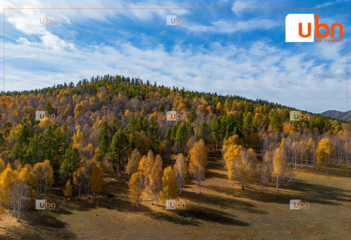 ӨГЛӨӨНИЙ МЭНД: Улаанбаатарт 19 хэм дулаан, бороо орохгүй