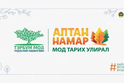Намрын улиралд 10-р сарын 20-ныг хүртэл мод тарьж ургуулахад хамгийн тохиромжтой