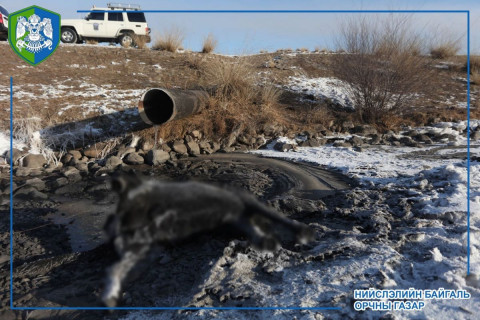 Туул голын далан давуулан үнс зайлуулсан усаа асгаж байжээ