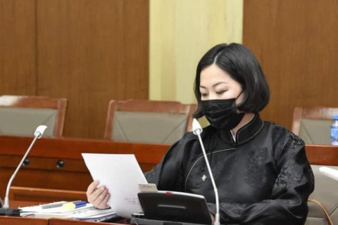 П.Анужин: Гадаад багшаар ажлын байрны төлбөр төлүүлэх нь хууль зөрчсөн үйлдэл