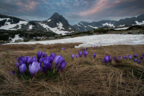 Ханш нээх өдөр амьтад ичээнээсээ гарч, амьд байгаль сэргэдэг