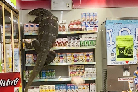 Тайландын 