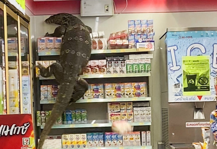 Тайландын 