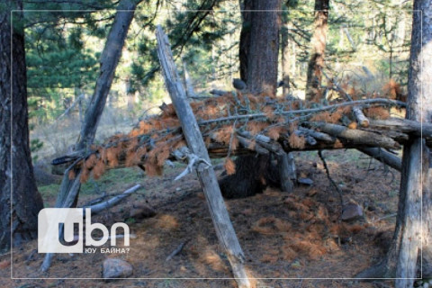 Самар түүхээр яваад сураггүй алга болсон нэг иргэнийг эрэн хайж байна