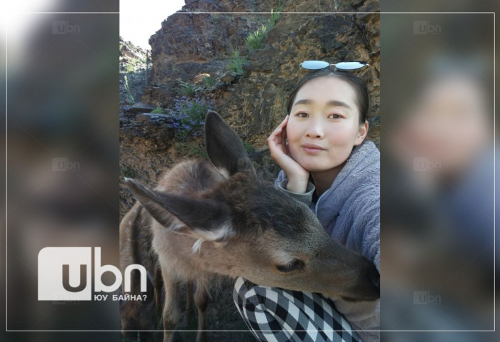 Буга хамгаалагч оюутан С.Чулуунцэцэг: Гэмтчихсэн байсан 10 бугын илийг олж, хүүхэд шигээ хайрлаж “өсгөж“ байна