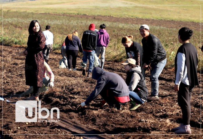 СУРВАЛЖИЛГА: Дэврүүн хүсэл, гэгээн мөрөөдлөөр дүүрэн “Ургацын талбай“-гаар зочилсон тэмдэглэл