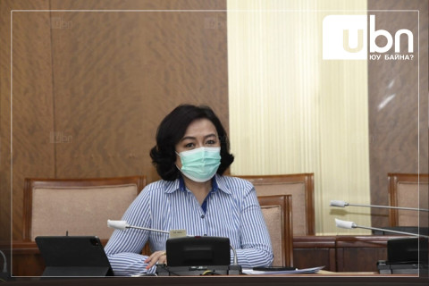 Б.Жаргалмаа: Төрөх эмнэлгүүдэд хулгана гүйж байна гэх мэдээлэл байдаг