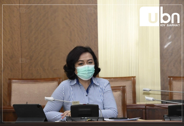 Б.Жаргалмаа: Төрөх эмнэлгүүдэд хулгана гүйж байна гэх мэдээлэл байдаг