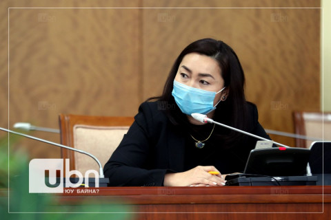 Х.Булгантуяа: Төр бүх бизнесийг булааж болохгүй