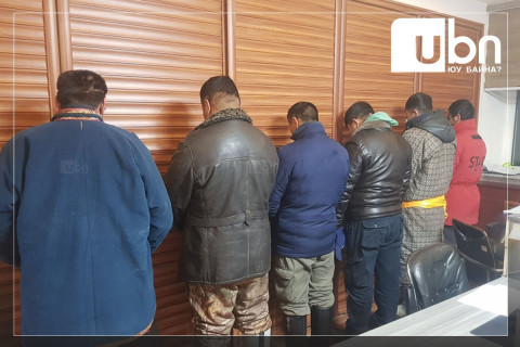 Олон тооны бод мал хулгайлсан этгээдүүдийг баривчилжээ