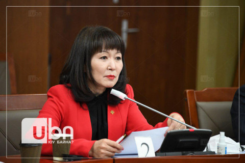Н.Уртнасан: Шахмал түлшний хэрэглээ хоёр дахин өссөн нь агаарын бохирдолд нөлөөлж байна
