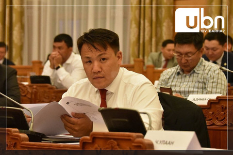 Н.Номтойбаяр: Нийгэмд янз бүрийн нөхөд, ноход байдагтай адил парламентад янз янзын гарууд бүрддэг