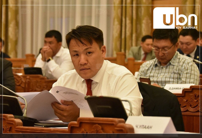 Н.Номтойбаяр: Нийгэмд янз бүрийн нөхөд, ноход байдагтай адил парламентад янз янзын гарууд бүрддэг