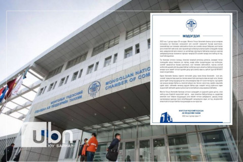 МҮХАҮТ: Хөгжлийн банкнаас олгосон зээлийн асуудалд хуулийн дагуу арга хэмжээ авах нь зүйтэй
