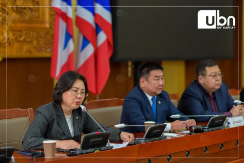 “Ковидын хуулиа яаралтай цуцлахгүй бол төсвийн мөнгө хяналтгүй урсаж байна“