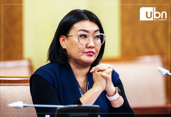 А.Ариунзаяа: УИХ-аар баталвал ирэх сараас НДШ-ийн буцаан олголтын журам мөрдөгдөж эхэлнэ