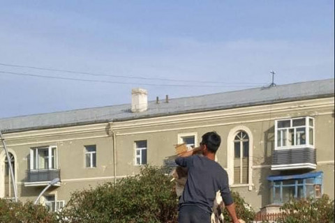 Н.Батсүмбэрэл: Мод сүйтгэж буй зураг нь 2017 онд СУИС-ийн оюутнуудын сийлбэр хийж үлдээсэн зураг