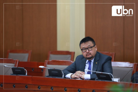 З.Мэндсайхан: Улаанбаатар хот руу орж байгаа бүх маханд хяналт тавьж чадаж байгаа
