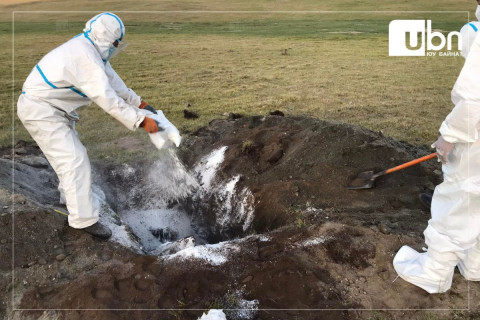 Увс аймагт хүний боом өвчлөлийн нэг тохиолдол бүртгэгдлээ