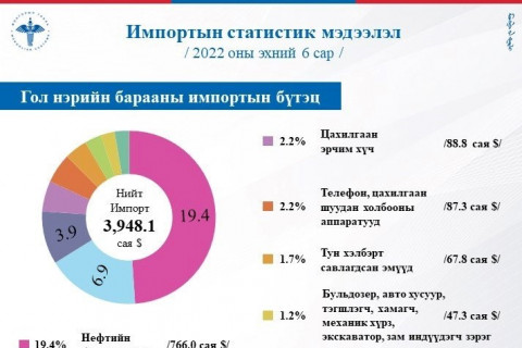Танилц: Энэ оны эхний 6 сарын импортын СТАТИСТИК мэдээлэл