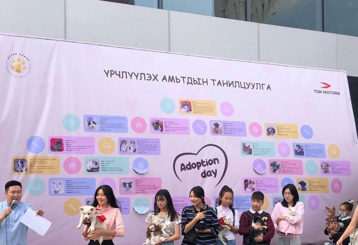 Амьтан үрчлүүлэх “Adoption day”  өдөрлөг боллоо