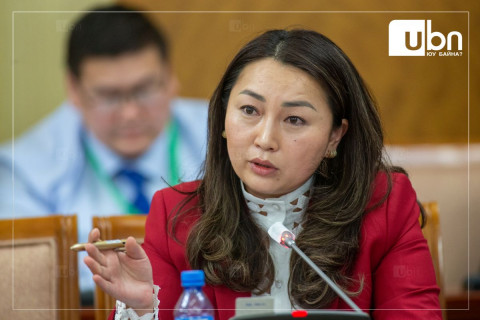 ТОДРУУЛГА: Хөгжлийн банк зээлийн хөрөнгөө бүрдүүлж чадахгүй бол Засгийн газар баталгаа гаргана