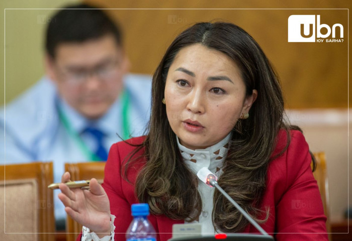 ТОДРУУЛГА: Хөгжлийн банк зээлийн хөрөнгөө бүрдүүлж чадахгүй бол Засгийн газар баталгаа гаргана