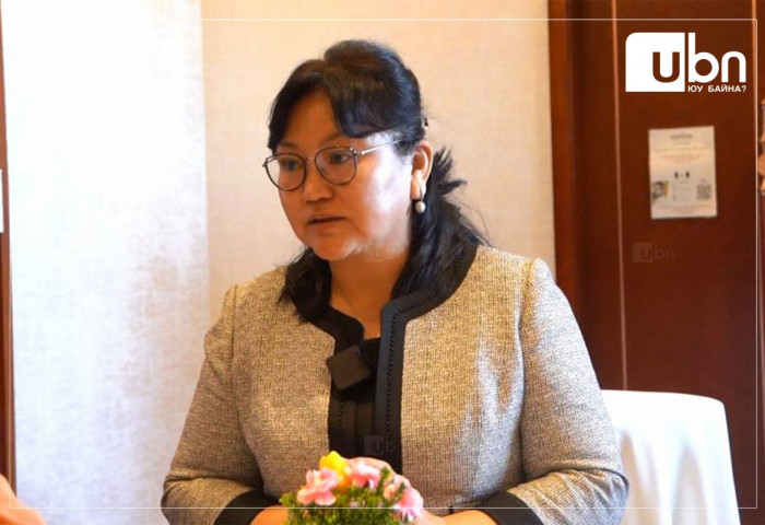 Т.Батдулам: Тусгай хэрэгцээт боловсролын багш нар сурагчаа “өмдөндөө гараа хийх“ зэрэг үйлдэл гаргахад хэрхэн туслахаа мэдэхгүй байна