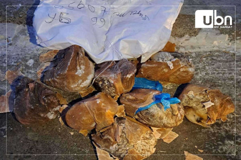 Нийслэл рүү 162 ширхэг хөлдөөсөн тарвага малын гүзээнд нууж оруулахыг завджээ