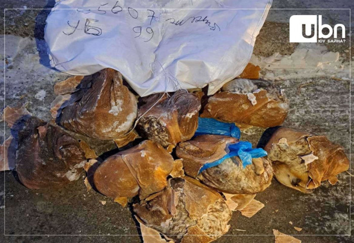 Нийслэл рүү 162 ширхэг хөлдөөсөн тарвага малын гүзээнд нууж оруулахыг завджээ
