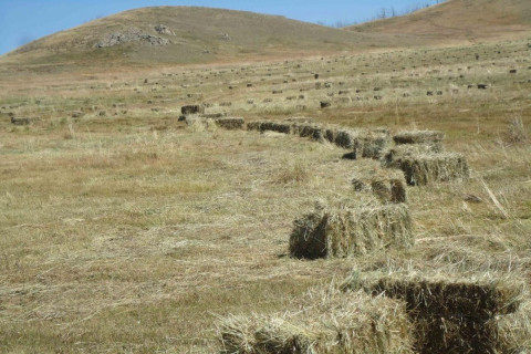 МАЛЧДЫН ТҮВШИНД ӨВС, ТЭЖЭЭЛ БЭЛТГЭЛ 84.5 ХУВЬТАЙ ГАРЛАА