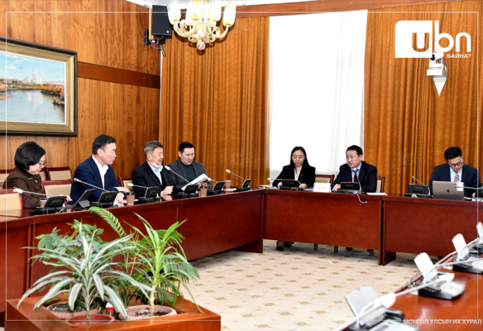 Зөвлөлдөх санал асуулга зохион байгуулахад туслалцаа үзүүлэх Ажлын хэсэг хуралдаж төлөвлөгөөгөө баталлаа