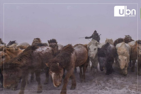 Хилчид иргэдэд учирч болох 865 сая төгрөгийн хохирлоос урьдчилан сэргийлжээ
