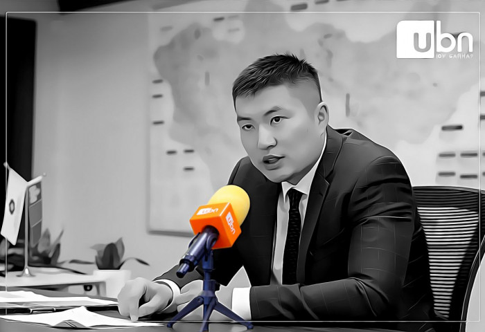 Н.Мандуул: Хөгжлийн банканд шалгалт дутагдаагүй. Харин илэрсэн зөрчлийг арилгуулах гэж ажиллаагүй нь бодит фактаар харагддаг