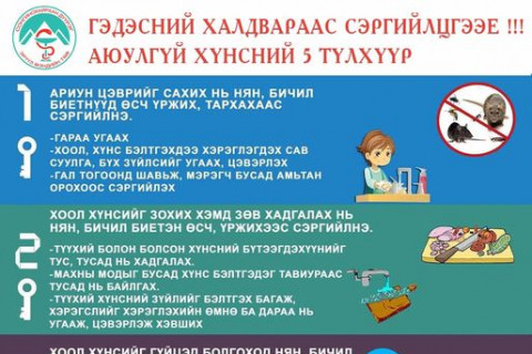 СХД-ийн ЭМТ: Гэдэсний халдвараас СЭРГИЙЛЬЕ
