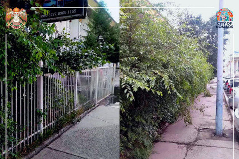 Зөвшөөрөлгүй хашаа, хайс буулгах ажил 80 хувьтай байна
