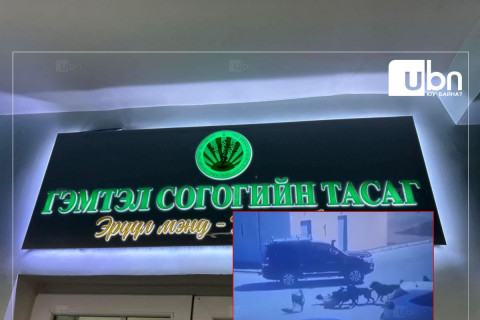 Р.Сэддорж: Иргэний үүргээ биелүүлээгүй иргэнд хариуцлага тооцож, нохойд хазуулсан эмэгтэйг ажил үүргээ хэвийн гүйцэтгэх хүртэл тусламж үзүүлнэ