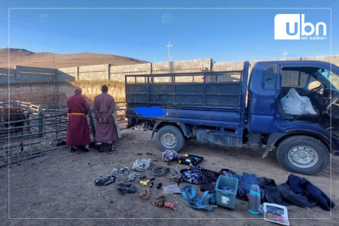 4 тооны үхрийг хулгайлан тээвэрлэж, нядлах гэж байсан бүлэг этгээдийг олж тогтоожээ
