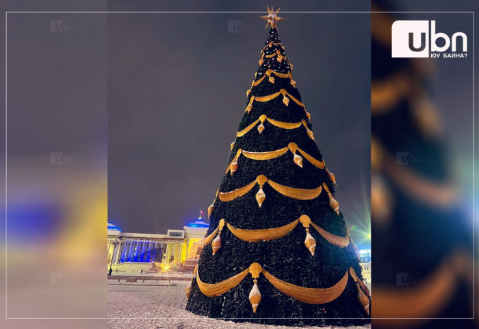 Талбайн сүлд модны гэрлийг өнөөдөр асаана
