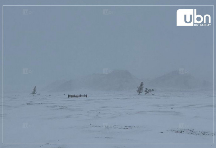 Завхан аймгийн Алдархаан суманд өнөөдөр 5 насны морь уралдуулах гэж байсныг зогсоожээ