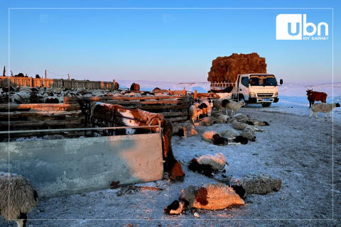 Д.Амарбаясгалан: Малгүй болсон иргэдэд хүүгүй 5-8 сая төгрөгийн зээл олгоно