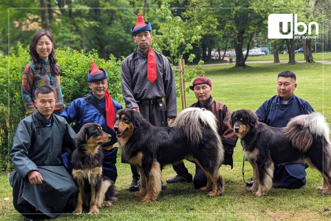 Монголын гурван банхар дэлхийн рингэнд өрсөлдөж байна