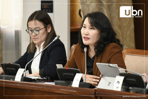Улсын Дээд шүүхэд намын даргын өөрчлөлтийн бүртгэлтэй холбоотой таван өргөдөл, намын дүрмийн өөрчлөлтийн долоон өргөдөл иржээ