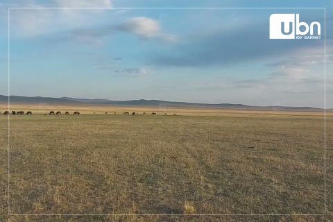 Дорнод, Дарьгангын талд нойтон цас орох бол говийн аймгуудаар  25-30 хэм хүрч хална