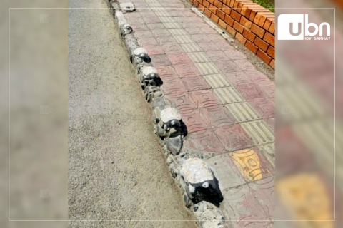 Яст мэлхийтэй замын бродюрыг “ЭЛИЙРЭГЧ“ Ц.Уянга хийжээ