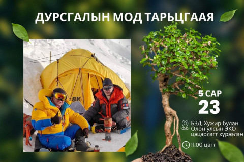 Уулчдын гэгээн дурсгалд зориулж, 108 мод тарихыг уриаллаа