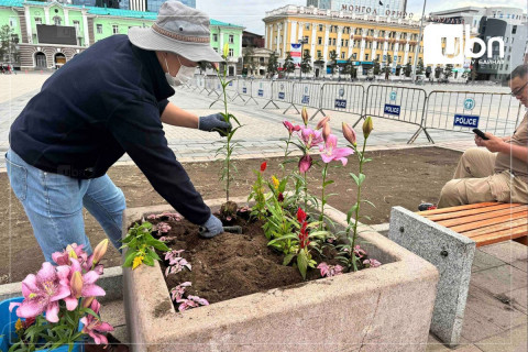 ЭМГЭНЭЛ: Гишүүд нь элдэв төрийн санг цөлмөнө, иргэд нь төв талбайн үнэтэй цэцэгсийг ТОНОНО