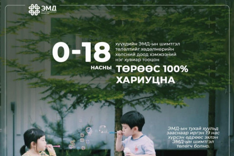 Шимтгэлийг нь төр хариуцан төлөх даатгуулагчид ямар иргэд хамаардаг вэ