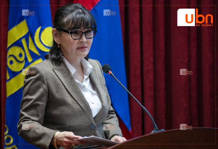 Л.Нямгэрэл: Сэтгэц нийгмийн сэргээн засах үйлчилгээг зайлшгүй байгуулах  шаардлагатай. Гэтэл өнөөдөр хуульд тодорхой зохицуулалт алга